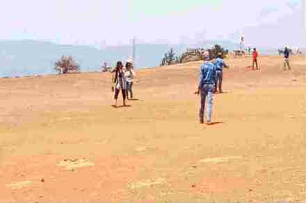 पाचगणीतल्या टेबललँडवर १५ ते २० पर्यटकांवर मधमाश्यांचा हल्ला