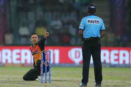 IPL 2019 : हैदराबादसाठी मोहम्मद नबी ठरतोय शंभर नंबरी सोनं