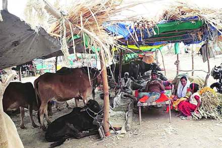 (संग्रहित छायाचित्र) (संग्रहित छायाचित्र)