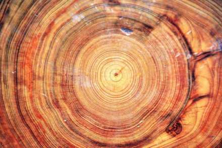 (संग्रहित छायाचित्र)