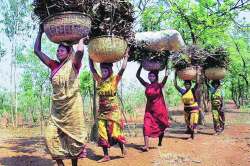 आदिवासींवर दुसरा ‘सर्जिकल स्ट्राइक’