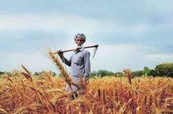 हमी भावाचे राजकीय चढउतार