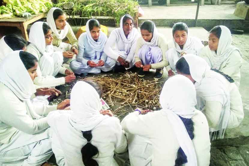 (संग्रहित छायाचित्र)