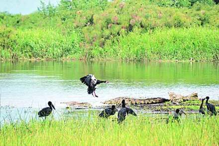 यूपीएससीची तयारी : पर्यावरण परिस्थितिकी