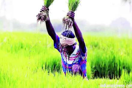 यूपीएससीची तयारी : सामान्य अध्ययन – आर्थिक आणि सामाजिक विकास यूपीएससीची तयारी : सामान्य अध्ययन – आर्थिक आणि सामाजिक विकास