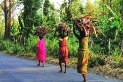 हे आदिवासी मतदार करणार नाहीत मतदान! (केरळ)