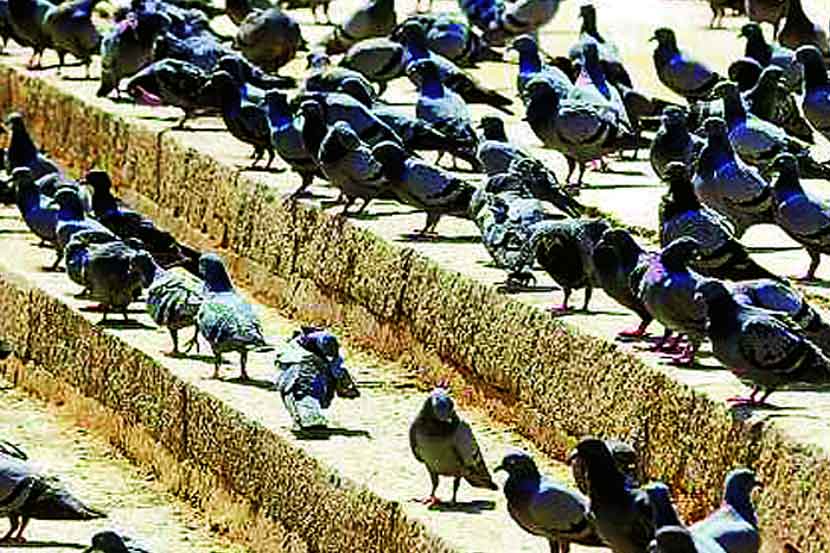 (संग्रहित छायाचित्र)