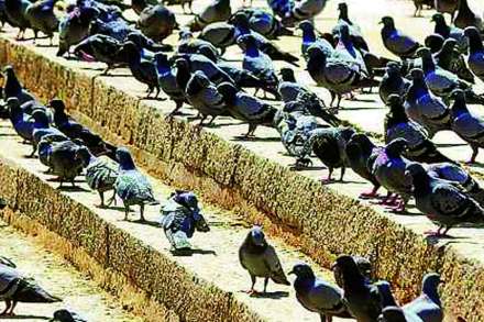 (संग्रहित छायाचित्र)