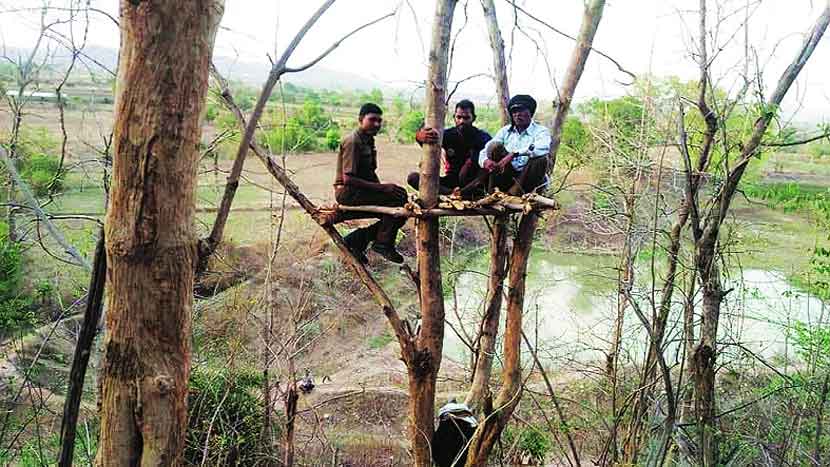 पौर्णिमेचा मंत्रभारला जंगलानुभव