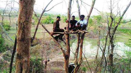 पौर्णिमेचा मंत्रभारला जंगलानुभव
