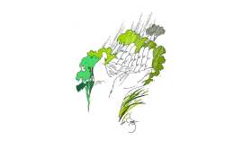 आभाळाचं गणगोत