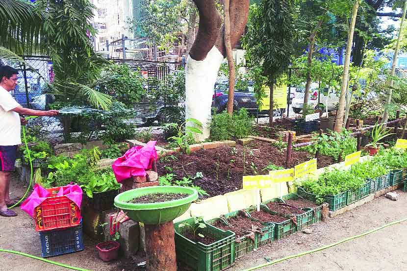 (संग्रहित छायाचित्र) (संग्रहित छायाचित्र)