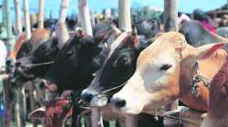गोमांस वाहतुकीच्या संशयावरून दोघांना मारहाण