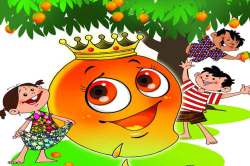 ‘ते’ आंब्याचे दिवस..