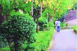 गाणारा वसंत