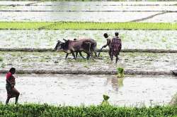 अंदाजांचा सांगावा..