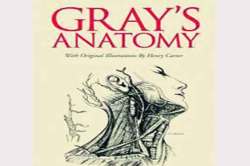 कुतूहल : शरीरशास्त्राची वाटचाल