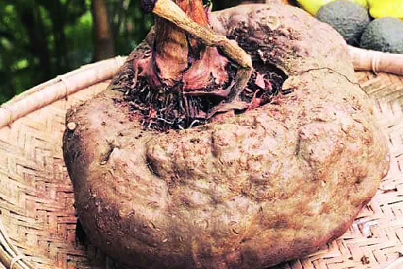 (संग्रहित छायाचित्र) (संग्रहित छायाचित्र)