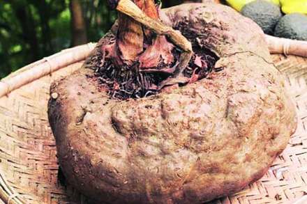 (संग्रहित छायाचित्र) (संग्रहित छायाचित्र)