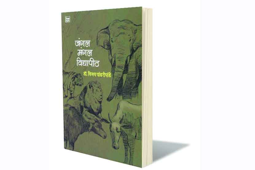 आहे स्वप्नरंजन तरीही..