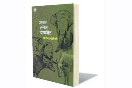 आहे स्वप्नरंजन तरीही..