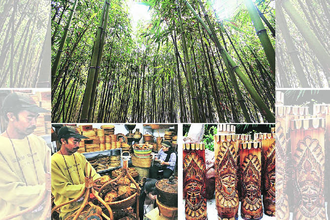 देशातल्या एकूण बांबू उत्पादनापकी तब्बल ६६ टक्के उत्पादन आसाममध्ये होतं. देशातल्या एकूण बांबू उत्पादनापकी तब्बल ६६ टक्के उत्पादन आसाममध्ये होतं.
