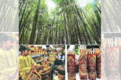 आसाममधलं बांबूचं जग (आसाम)