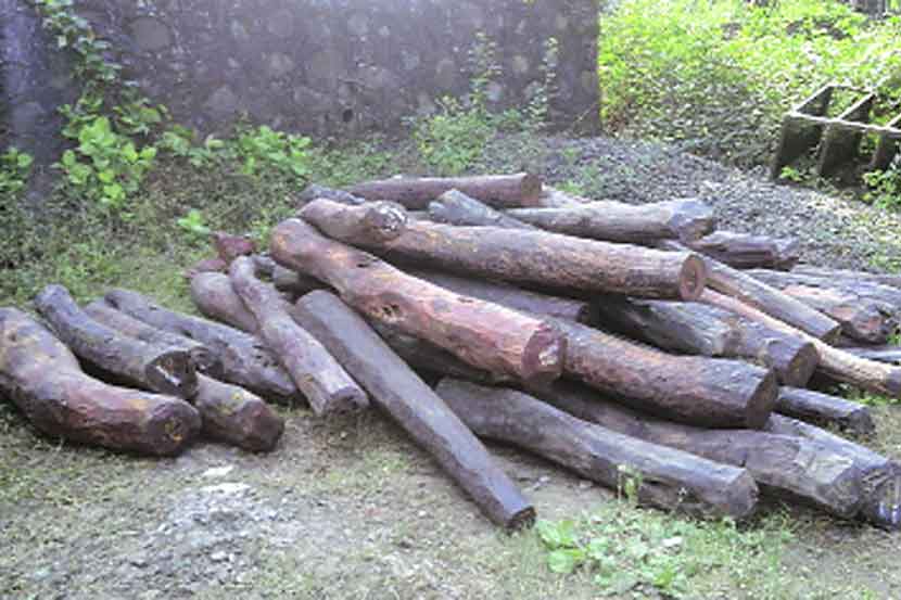 (संग्रहित छायाचित्र)