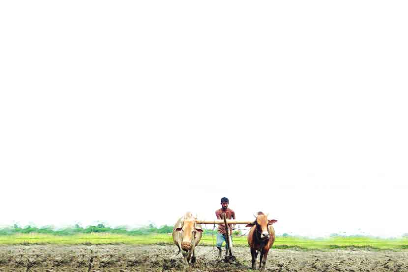 संग्रहित छायाचित्र