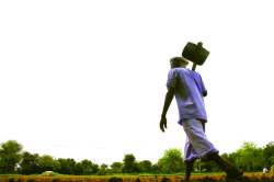 बहुमताची सुगी शेतीत दिसेल?
