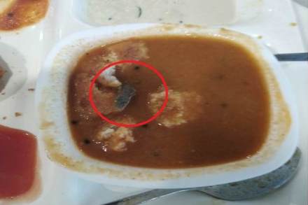 सांबारमुळे अग्निहोत्री यांच्या कुटुंबातील दोघांना रुग्णालयात देखील दाखल करण्यात आले.