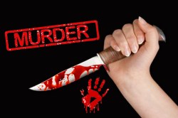 वडिलांसमोर शिवीगाळ केल्याने बाबा चौधरीचा खून