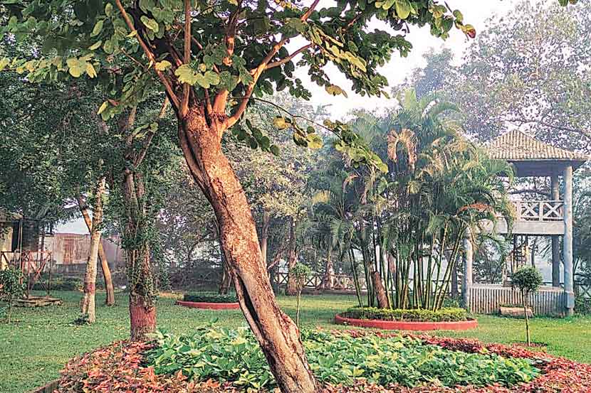 शहरबात पिंपरी : नियोजनशून्य कारभारामुळे उद्यानांची दुरवस्था