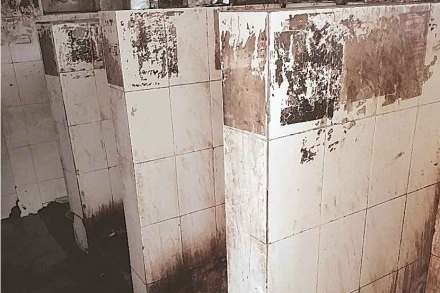 लोकजागर : नादान आणि नालायक