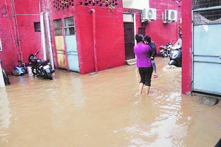 संग्रहित छायाचित्र 