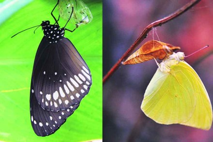 (संग्रहित छायाचित्र)