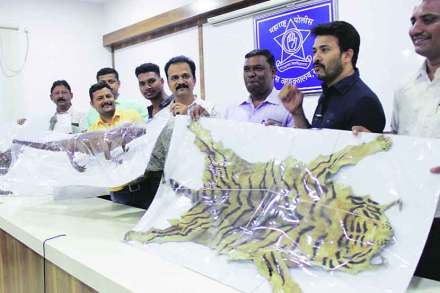 (संग्रहित छायाचित्र)