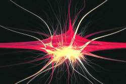 मज्जासंस्थेतले संदेशवहन