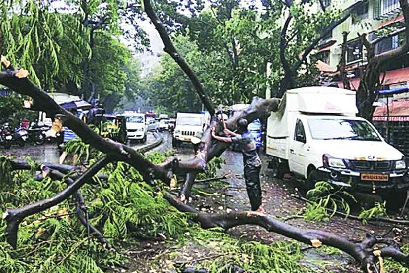 बेपर्वाईचे मोसमी वारे