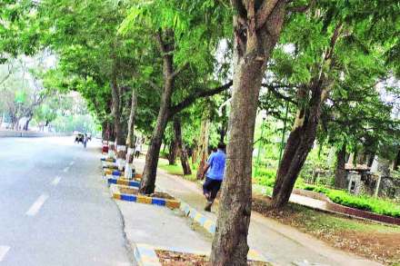 (संग्रहित छायाचित्र) (संग्रहित छायाचित्र)