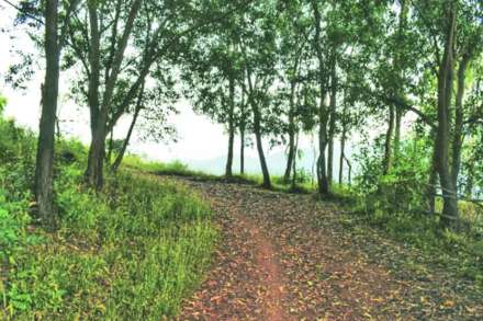 (संग्रहित छायाचित्र)