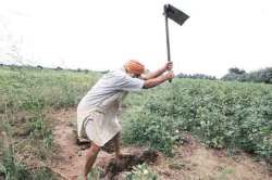 जनुकीय तंत्रज्ञानाविना शेतीची माती
