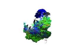 बाभळीतला चंद्र