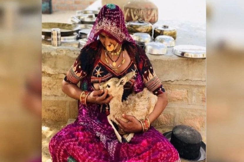 बिश्नोई महिला हरणाच्या पाडसाला स्तनपान करतानाचा फोटो व्हायरल