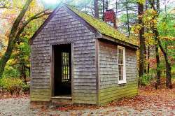 थोरोचं घर!