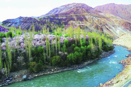 डोळ्यात आणि कॅमेऱ्यातसुद्धा न मावणारे लडाख एकदा बघून पोट भरत नाही. डोळ्यात आणि कॅमेऱ्यातसुद्धा न मावणारे लडाख एकदा बघून पोट भरत नाही.
