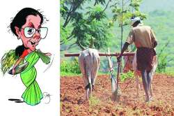 Union Budget 2019 : कृषी क्षेत्रात भरघोस निधीपेरणी!