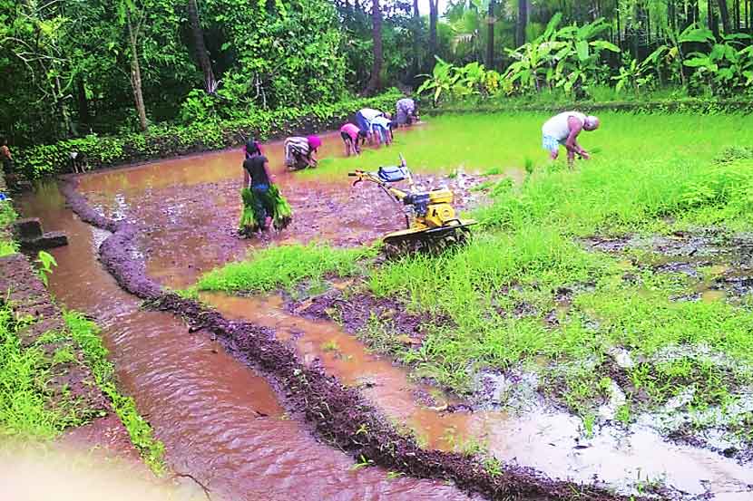 पीक कर्जवाटप केवळ ३३ टक्के! पीक कर्जवाटप केवळ ३३ टक्के!