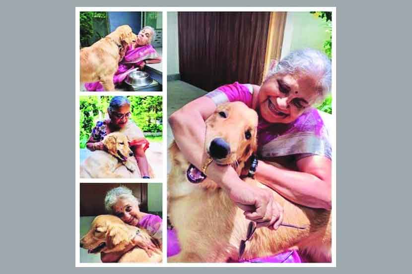 बुकबातमी : ‘गोपण्णा’च्या (गोड) गोष्टी..