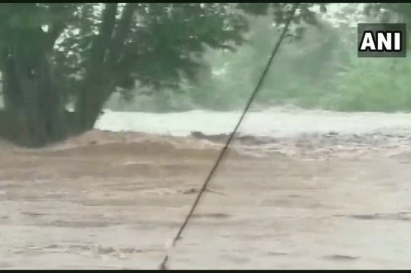 भामरागड : विदर्भात मुसळधार पावसामुळे अशा प्रकारे सर्वत्र पूरस्थिती निर्माण झाली आहे.